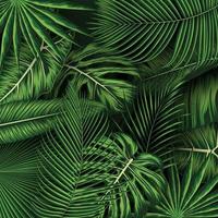 Tropical summer leaves background with jungle plants vector