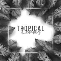 Tropical summer leaves background with jungle plants vector