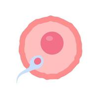 el esperma corre hacia el ovario femenino para fertilizar el embarazo de una mujer. vector