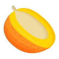 Half of mango on white background. Flat vector illustration