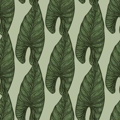 Engraving leaf araceae seamless pattern. Vintage leaves background.
