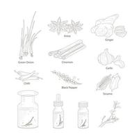conjunto dibujado a mano con hierbas y especias. elementos de diseño aislados en blanco. iconos de cocina. vector