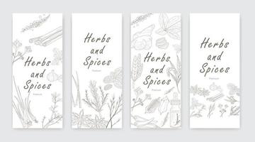 Hand drawn set with herbs and spices. Design elements isolated on white. Cooking icons. vector