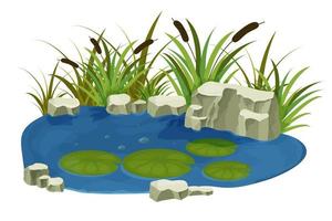 lago, pantano con piedras, hojas de lirio de espadaña en estilo de dibujos animados aislado sobre fondo blanco. escena de fantasía forestal, naturaleza salvaje. ilustración vectorial vector