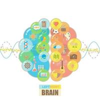 burbujas del cerebro izquierdo y derecho con el concepto de clases escolares vector