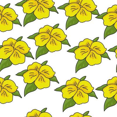 Bright yellow flowers seamless pattern with four petals and several leaves, simple wildflowers on a white background