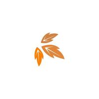 Autumn leaves icon flat design template vector