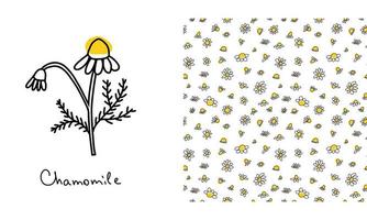 Seamless pattern with doodle black daisies on a white background. Chamomile linear ink wallpaper with flower element vector