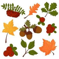 Set vector elements in the autumn style.Leaves,acorns,berries, cranberries