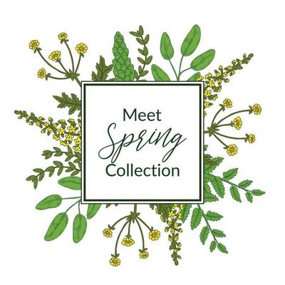 Spring floral green frame with meadow flowers. Hand drawn vector illustration