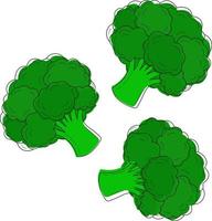 Vector illustration of a broccoli set on a white background. Isolated elements for design.It is used for menus, advertisements and covers, children's books, food illustrations. Food illustration.