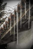 Large and sharp icicles hanging from a house roof photo