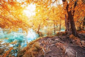 Scenic view around the turquoise water. Plitvice Lakes National photo