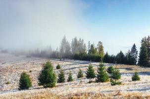 Winter landscape glowing by sunlight. Dramatic scene. Scenic fog photo