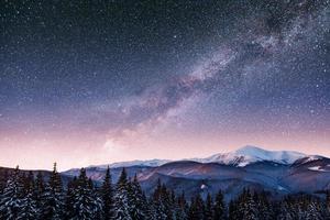 star trek lácteos en el bosque de invierno. foto