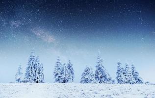 star trek lácteos en el bosque de invierno. foto