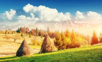 Traditional hay stacks, typical rural scene. Carpathian. Ukraine