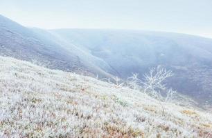 Winter landscape glowing by sunlight. Dramatic scene. Scenic fog photo