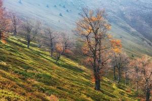 mountain range in the Carpathian Mountains in the autumn season. photo