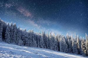 cielo estrellado en la noche de invierno cubierto de nieve. fantástica vía láctea foto