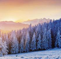 Colorful sunset over the mountain ranges in the national park photo