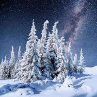 starry sky in winter snowy night. fantastic milky way photo