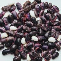 lot of black beans for background uses photo