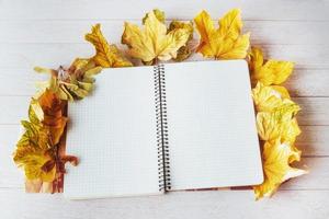 Yellow maple leaves on top and notebook lying