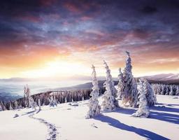 Fantastic winter landscape, steps, something leading into the mo photo