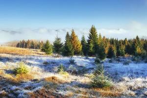 Winter landscape glowing by sunlight. Dramatic scene. Scenic fog photo