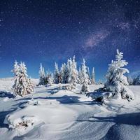 Dairy Star Trek in the winter woods. Dramatic and picturesque sc photo