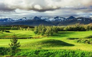 The picturesque landscapes of forests and mountains  Iceland photo