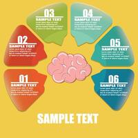 Half of Circle infographics design vector