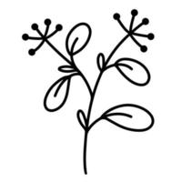 Vector icon sprig with leaves. Hand drawn doodle illustration. The contour of a branch with inflorescences and berries. Herb silhouette botanical element. Outline plants. Isolated object.