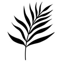 Palm branch icon. Vector illustration isolated on white background. Hand-drawn black doodle. Botanical element. Twigs with leaves of a tropical plant. Silhouette.