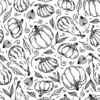 Ripe pumpkins, autumn leaves seamless vector pattern. Hand drawn doodle on white background. Botanical sketch, garden vegetables. Backdrop for Thanksgiving, Halloween, seasonal festival