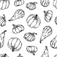 Ripe pumpkins seamless vector pattern. Hand drawn illustration on white background. Autumn harvest sketch, garden vegetables. Backdrop for Thanksgiving, Halloween, seasonal festival