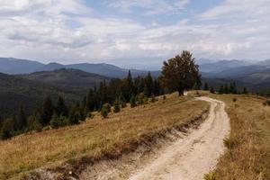 campo montañoso en verano. camino cuesta arriba en la distancia. árboles en las colinas ondulantes. cresta en la distancia. nubes en el cielo. hermoso paisaje rural de los cárpatos. ucrania, europa. foto