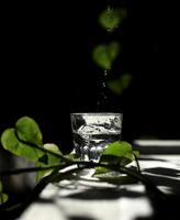 un vaso de agua sobre una mesa blanca con rayos de sol y hojas verdes foto