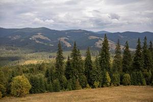 Magnificent view the coniferous forest on the mighty Carpathians Mountains and beautiful cloudy sky background. Beauty of wild virgin Ukrainian nature, Europe. Popular tourist attraction. photo