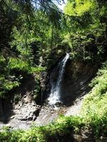 waterfall. mountain waterfall in park photo