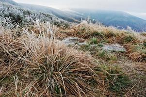 Frost grass background two frozen puddle at mountains. First snow on landscapes photo