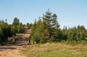 Mountain road up at Carpathian mountains on west Ukraine photo