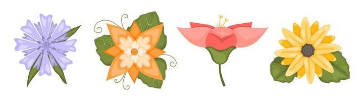 conjunto de flores. elementos vectoriales coloridos florales y plantas. vector