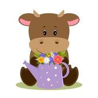 Small bull holds watering can inside which is bouquet of flowers. The bull sniffs flowers. Cartoon cute character. vector