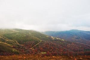 Scenic view of mountain autumn red and orange forests covering by fog at Carpathian mountains on Ukraine, Europe. photo