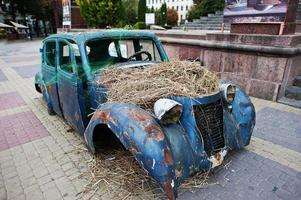 Old abandoned car with hay on engine photo