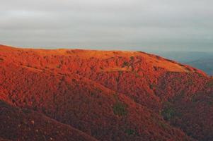 colorido paisaje de otoño rojo en la montaña. montaña nublada por la mañana iluminada por el sol en las montañas de los cárpatos en pylypets, borzhava, ucrania foto