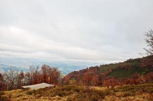 Wood ground on autumn red forest and mountains photo