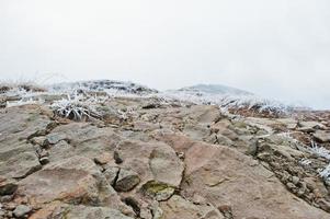 Frozen rocky stones at snow mountains with frost grass and fog on top photo